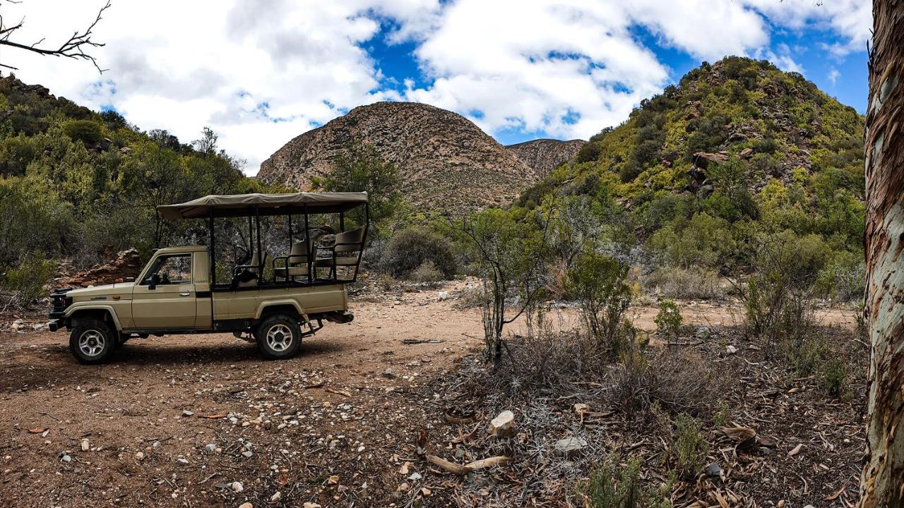 Rooiberg Wild Private Game Reserve Ladismith Exterior foto